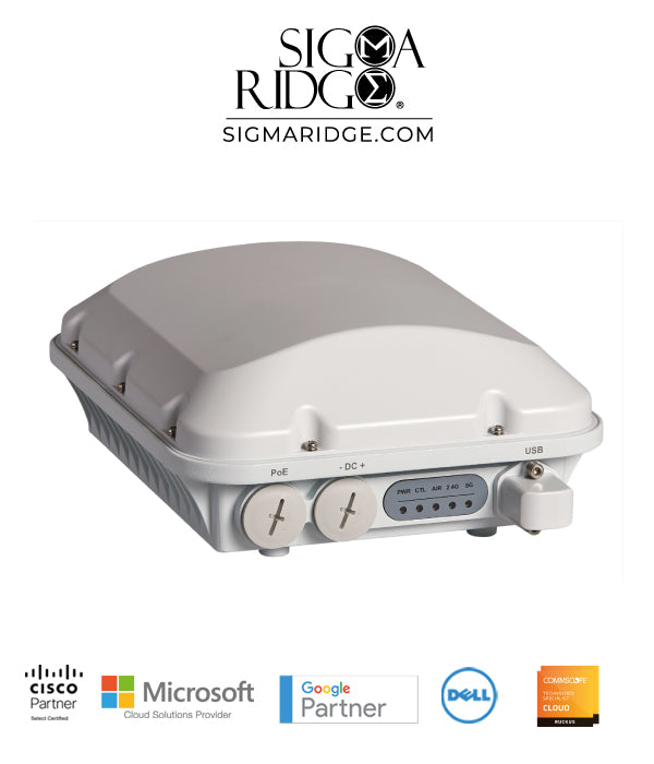 Ruckus T310s - Unleashed Outdoor Wireless Access Point