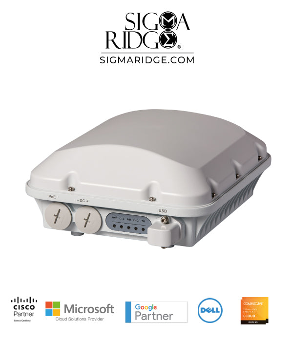 Ruckus T310n - Unleashed Outdoor Wireless Access Point