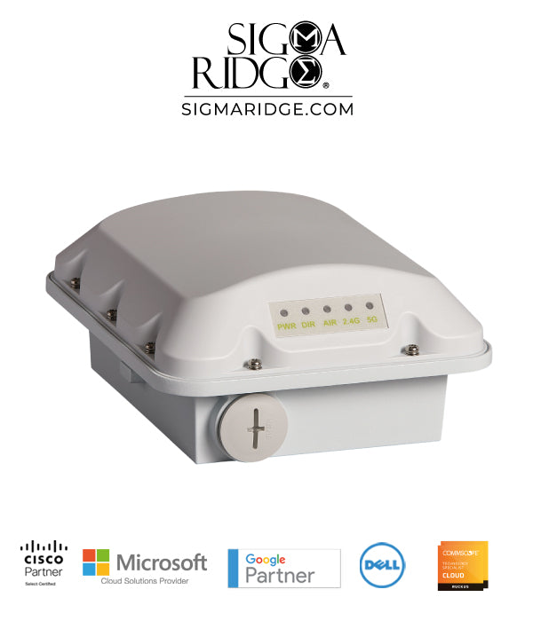 Ruckus T310c - Unleashed Outdoor Wireless Access Point